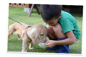 こどもと犬